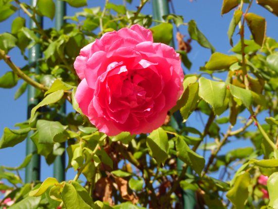 château de Denainvilliers