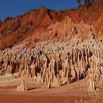 Nature Et Fourchette