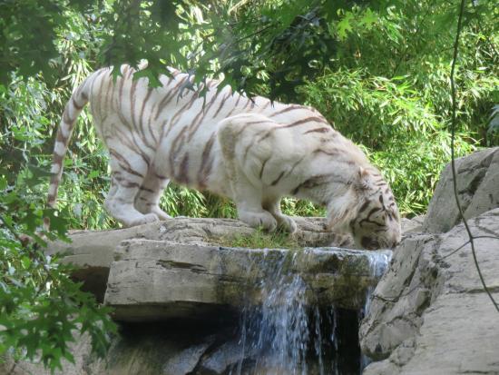 Zoo de la Boissière du Doré