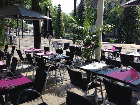 Le Zebre à Carreaux