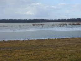 Étang de la Grande Rue