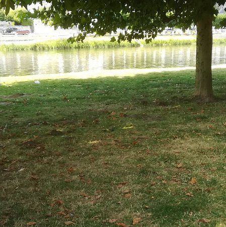 Parc Plage de Montrichard