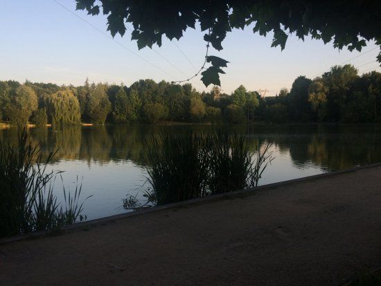 Parc de l'Arrou ou Lac de la Pinçonnière