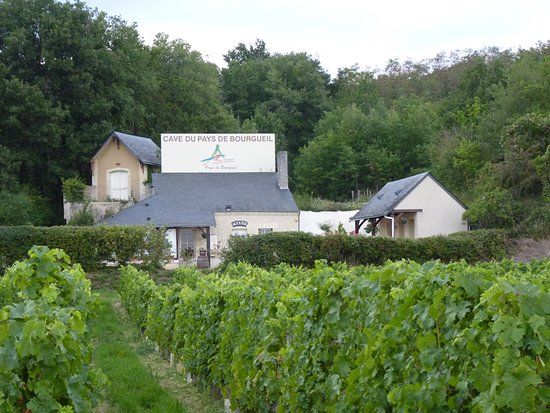 Cave de la Dive Bouteille