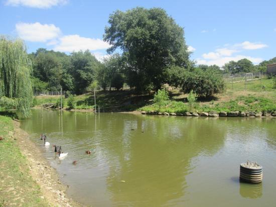 Parc et Conservatoire de la Bottière