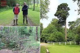 Parc du Château du Martreil