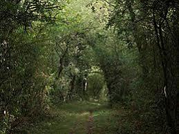 nécropole préhistorique de la Grande-Mesle