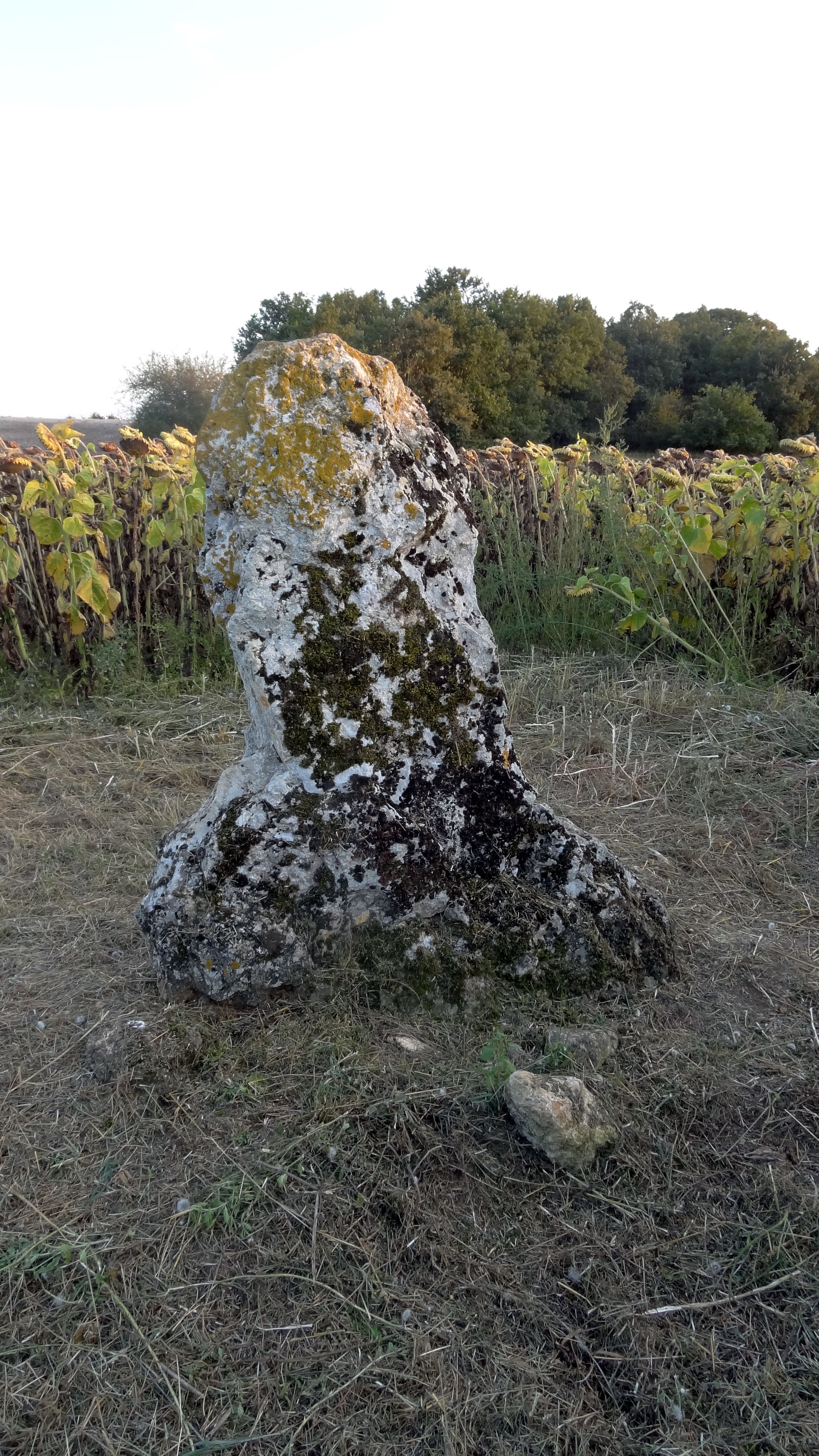 menhir de la Grande Pierre
