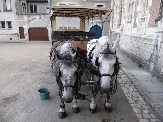 Les Chevaux de Marolles