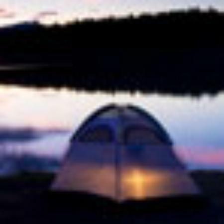 Brasserie Les Allees